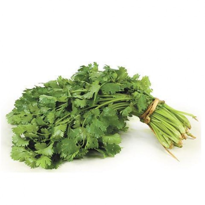 Coriander Bunch 